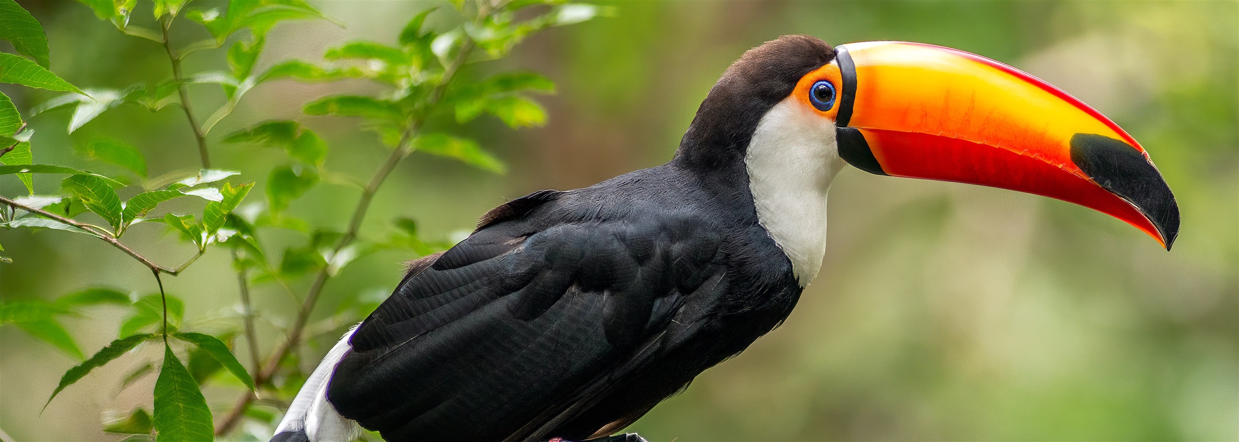Op pad vanuit Hotel Avifauna?