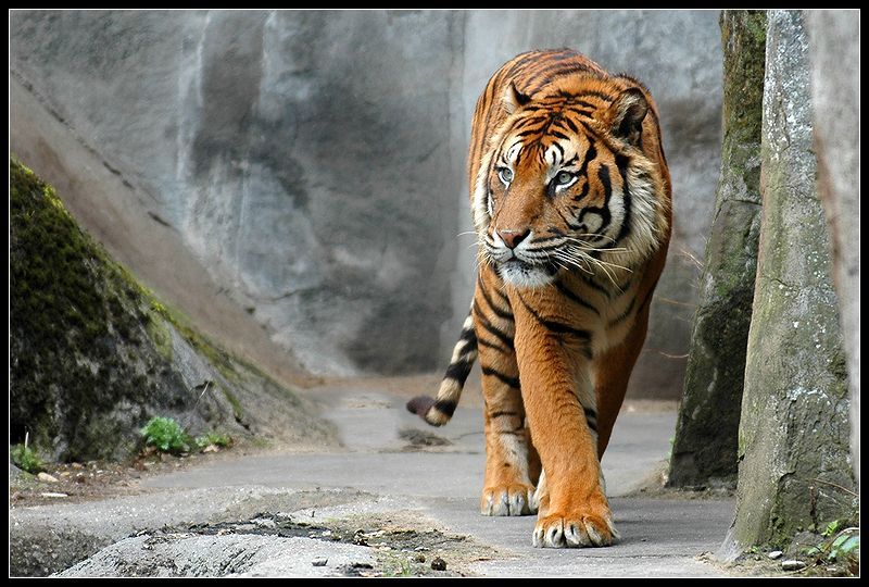 Family Fun arrangement