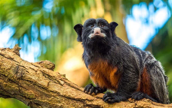 Bezoek de Orchideeën Hoeve