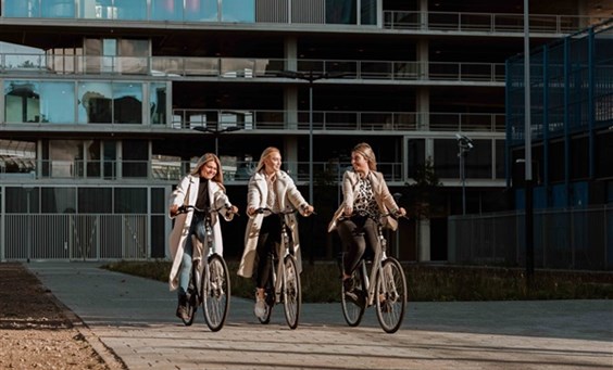 Ein Fahrrad für jedes Abenteuer