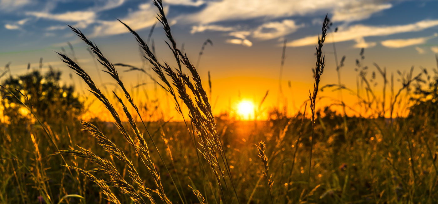 Hotel Akersloot - 5-Tage Arrangement