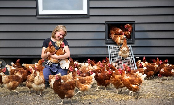 Pluimveebedrijf Van de Vis