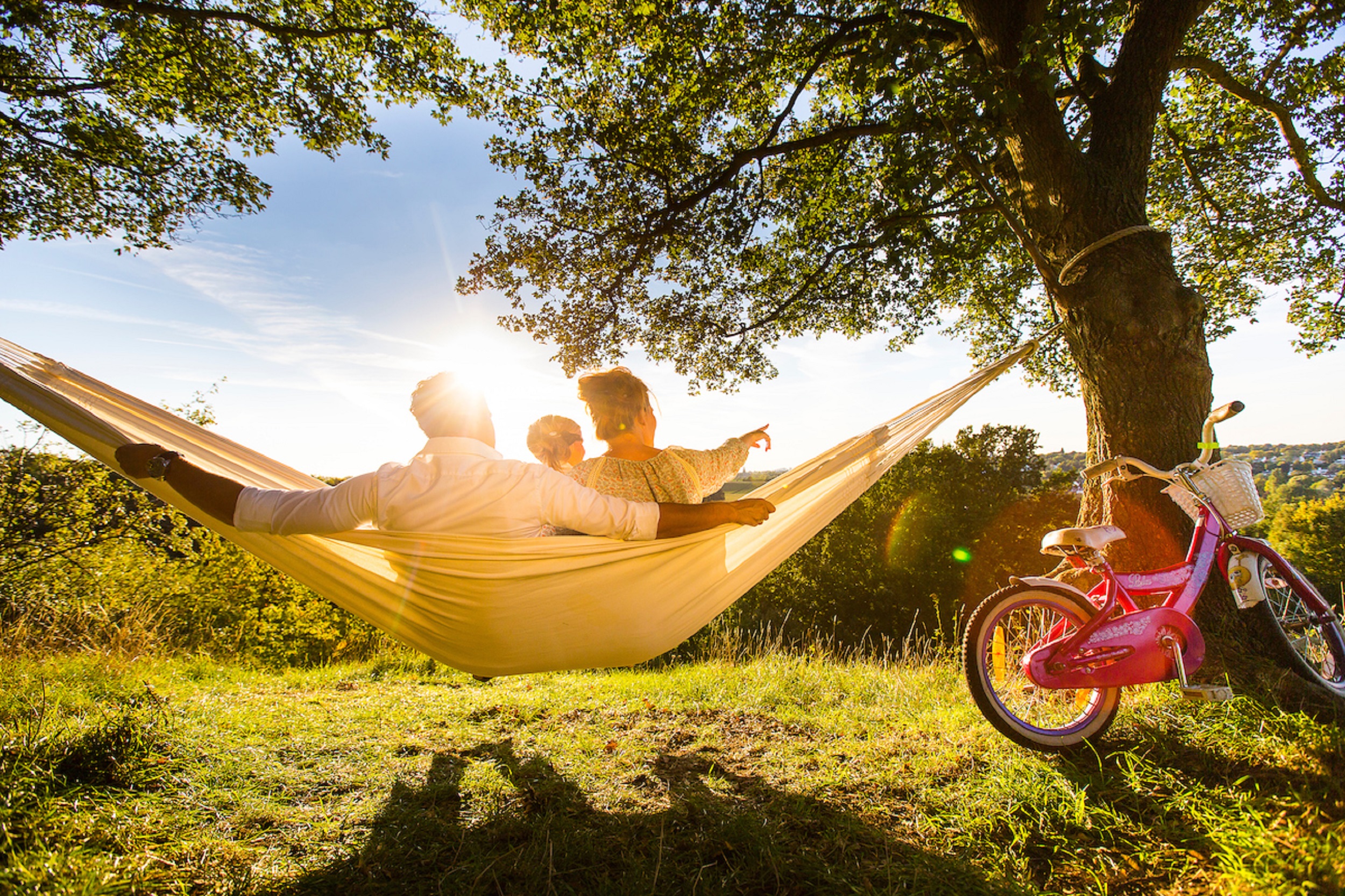 Discover the beautiful environment