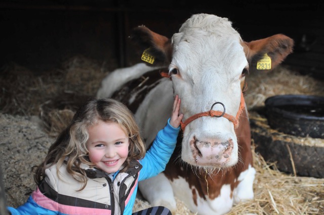 Streichelzoo Emmelerbos