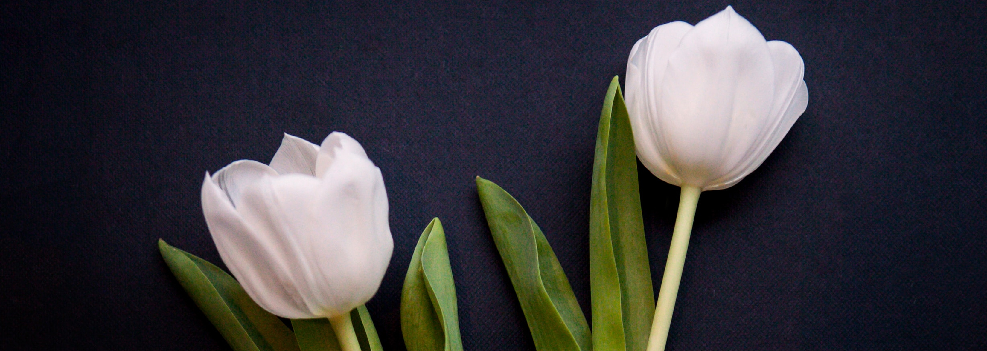 Leven doe je op je eigen manier, afscheid nemen ook