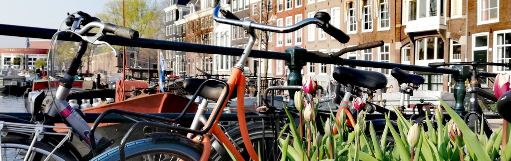 Enjoy a bike ride through the beautiful north Holland Landscape and Amsterdam
