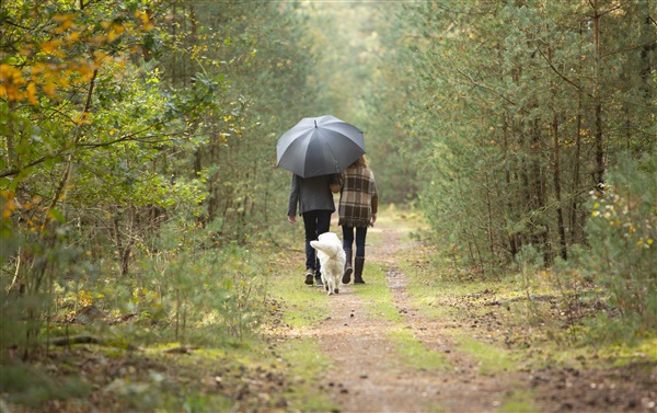 De mooiste wandelroutes