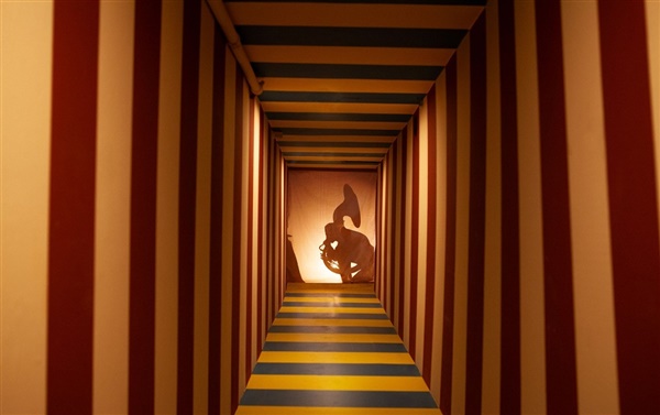 Dolen in de Meta Maze