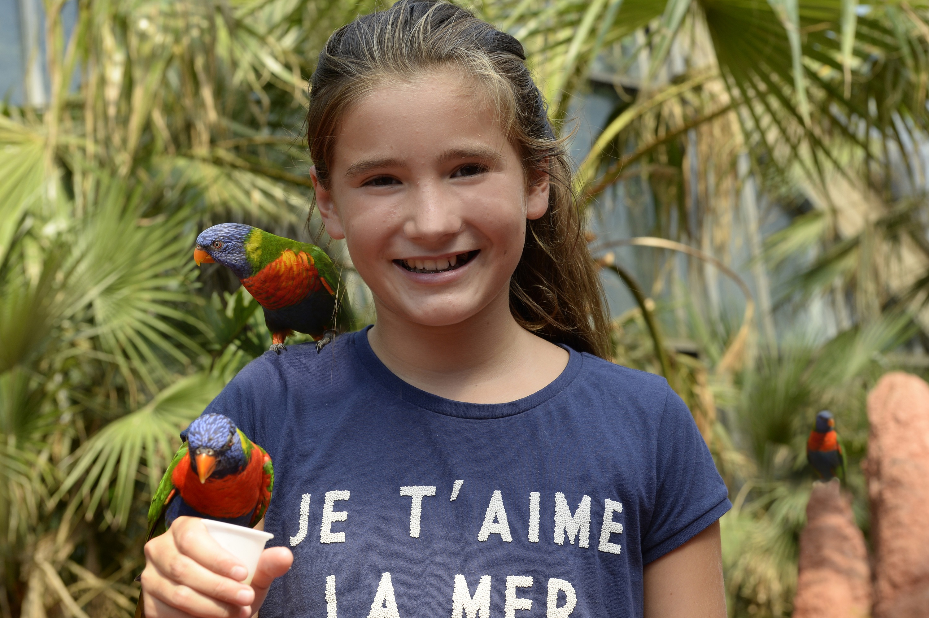 Feed the Lori's yourself