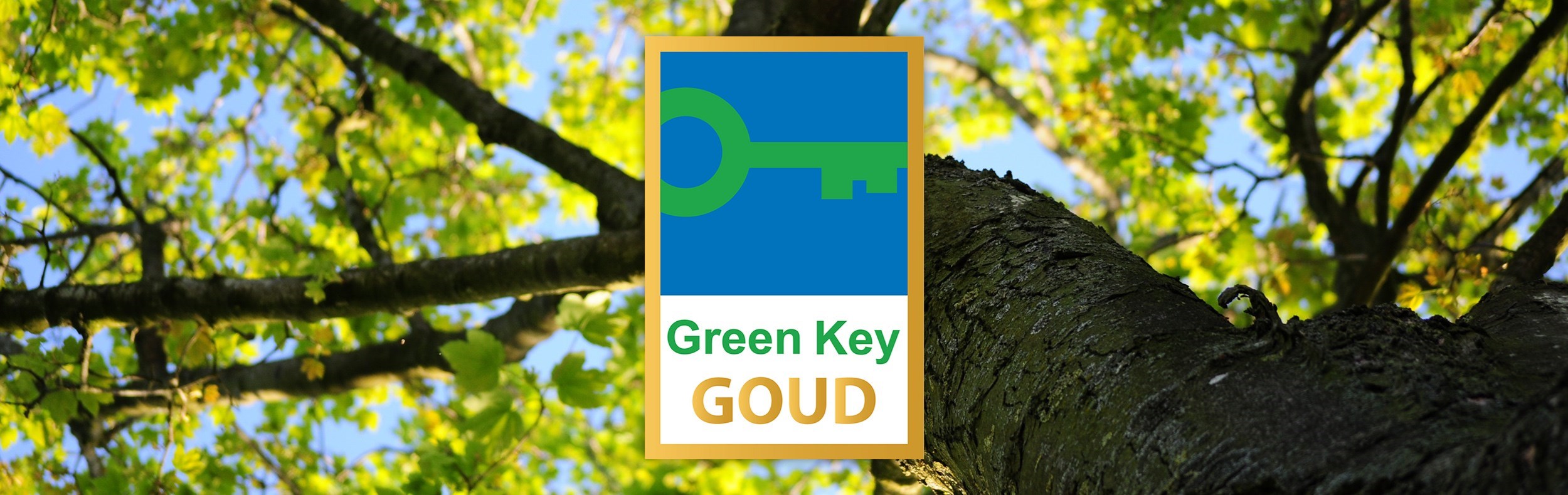 What role does Green Key play?
