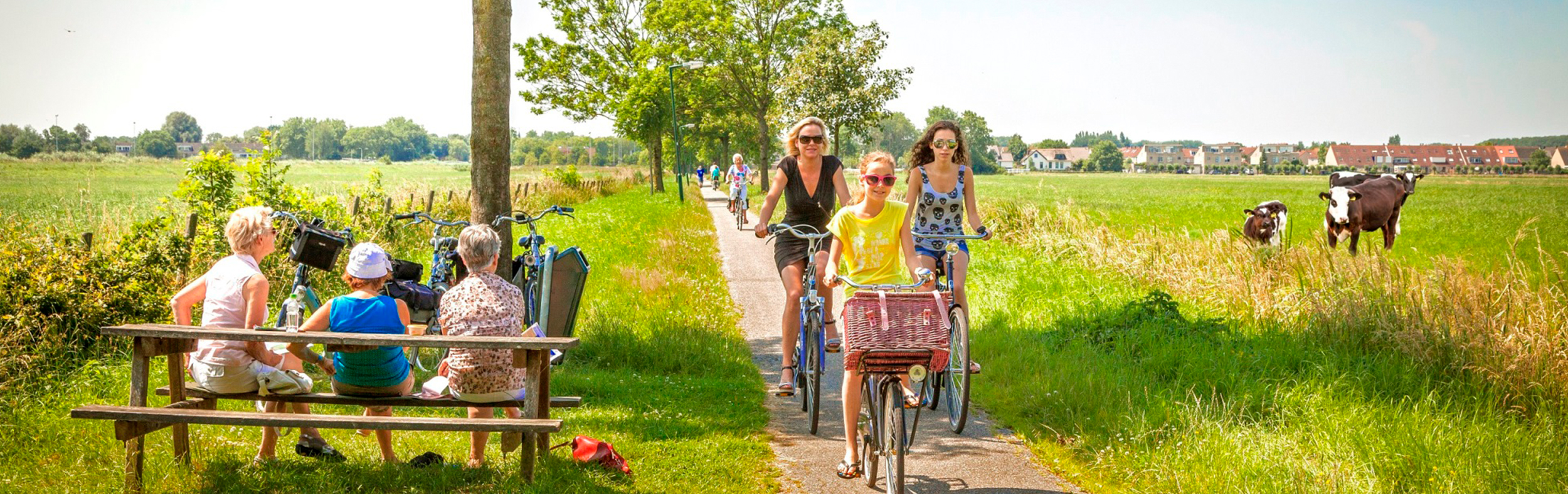 Ontdek het groene hart