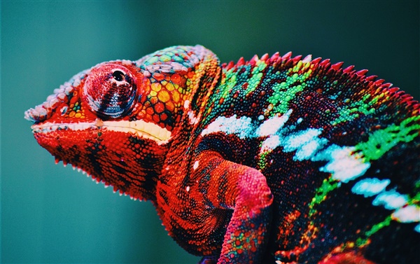 Natuurhistorisch Museum