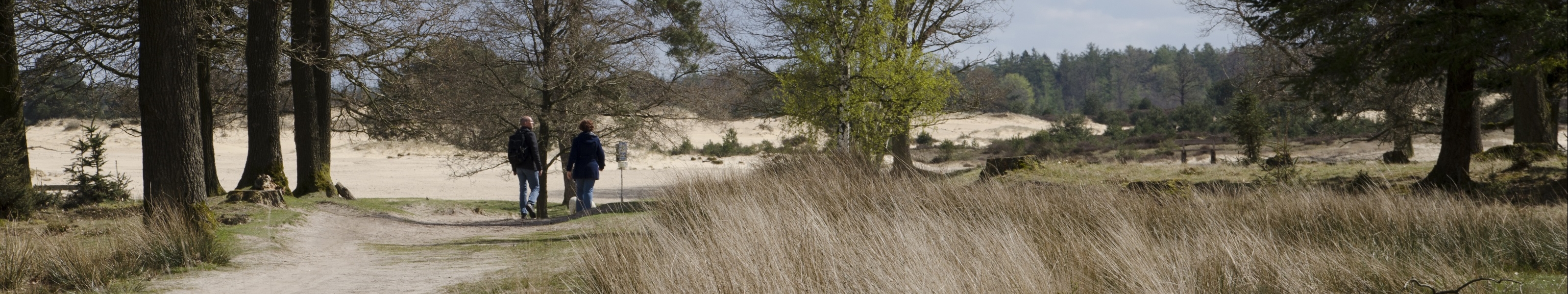 Nationaal Park Drents-Friese Wold