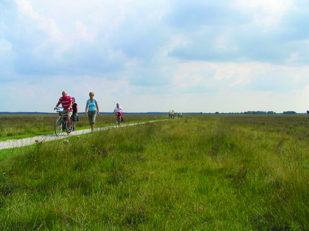 Hotel de Gouden Leeuw