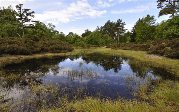 Noordhollands Duinreservaat