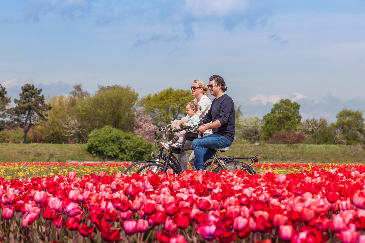 Out and about by bicycle