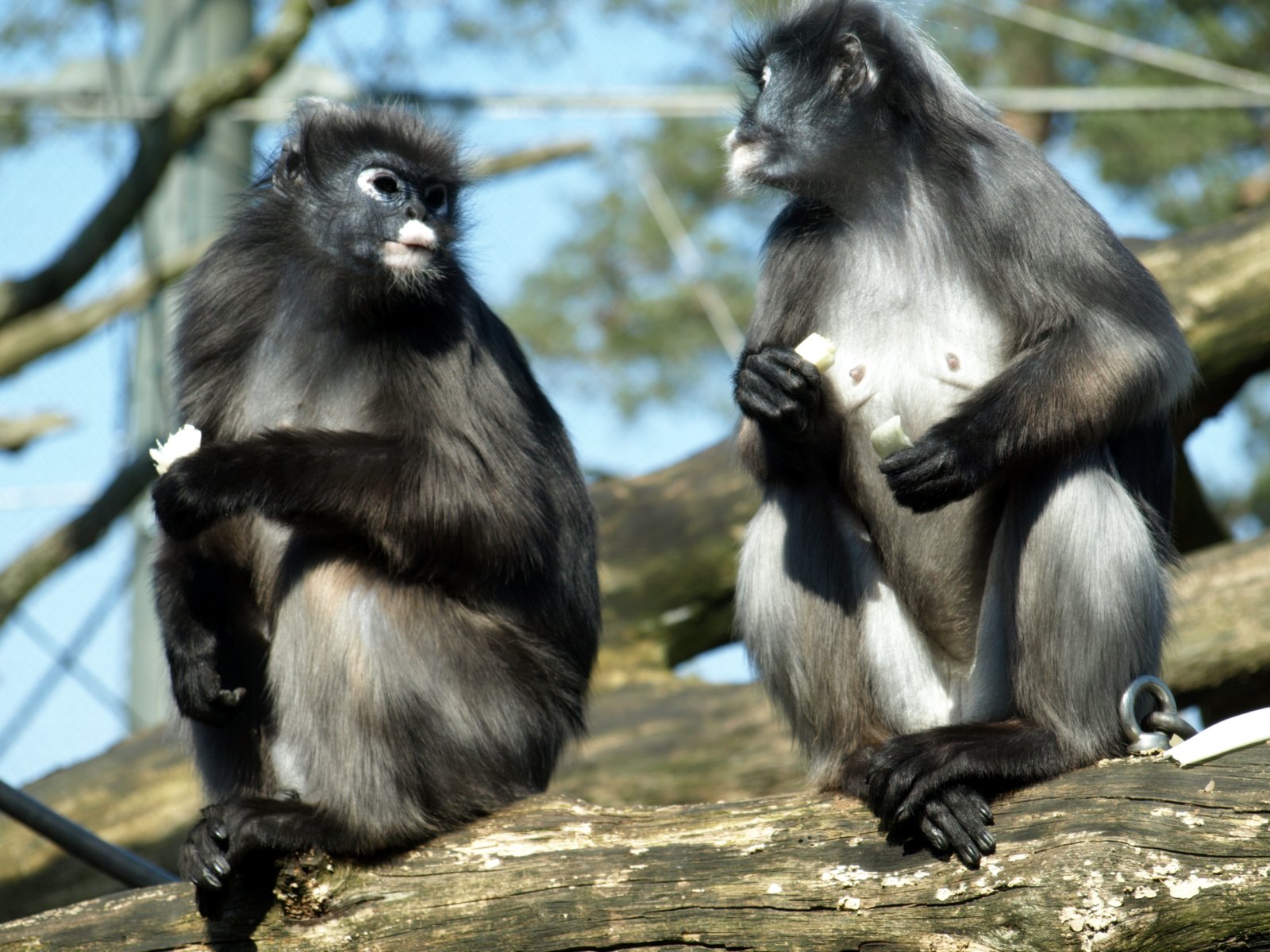 Erop uit in onze regio!