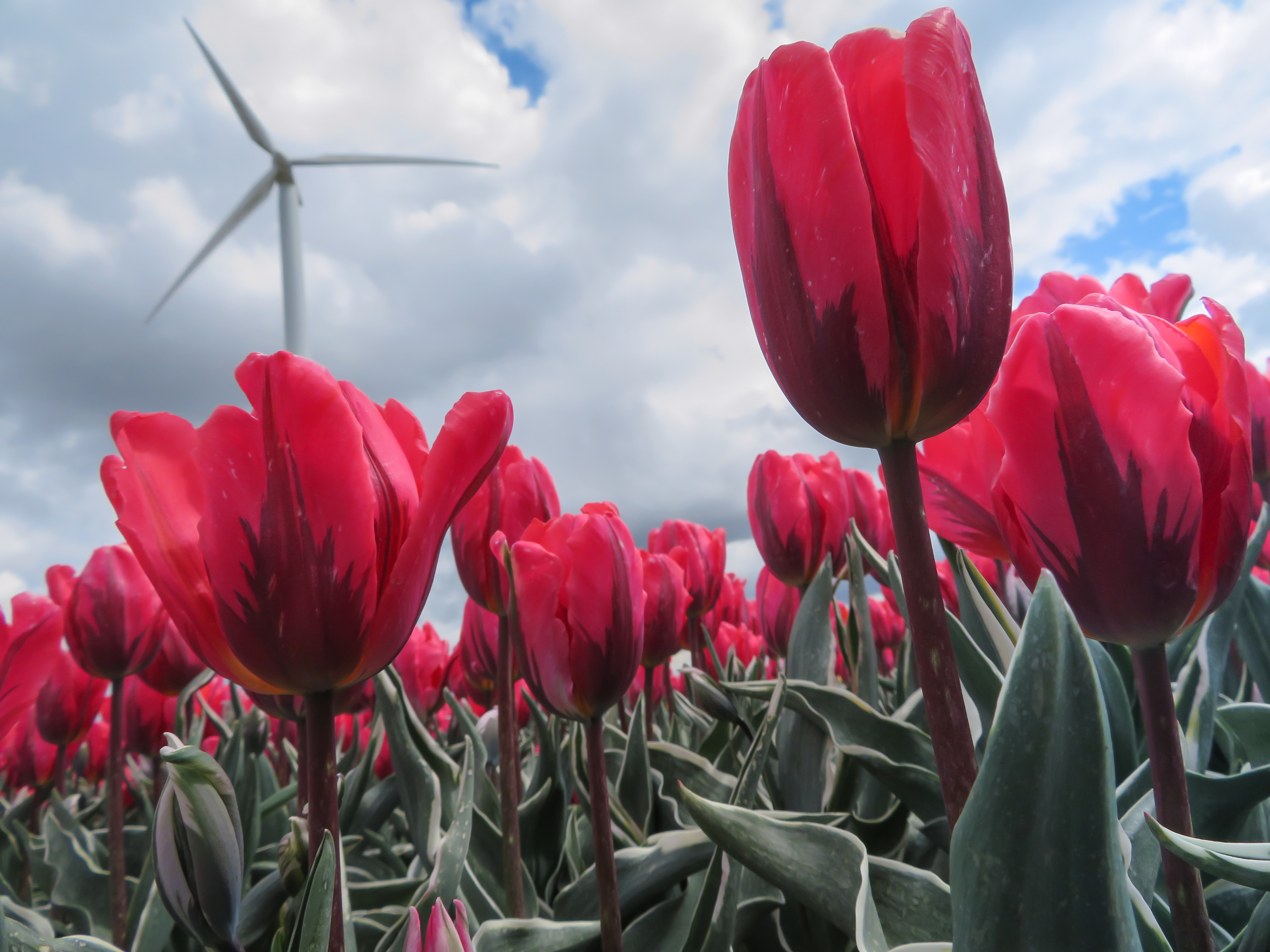 Don't have plans yet?