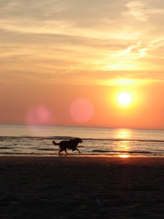 Entspannen Sie an der Küste