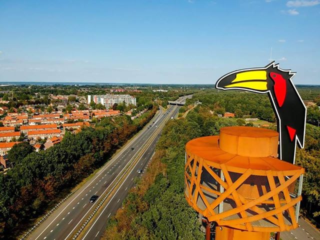 Toekan auf einem Nest