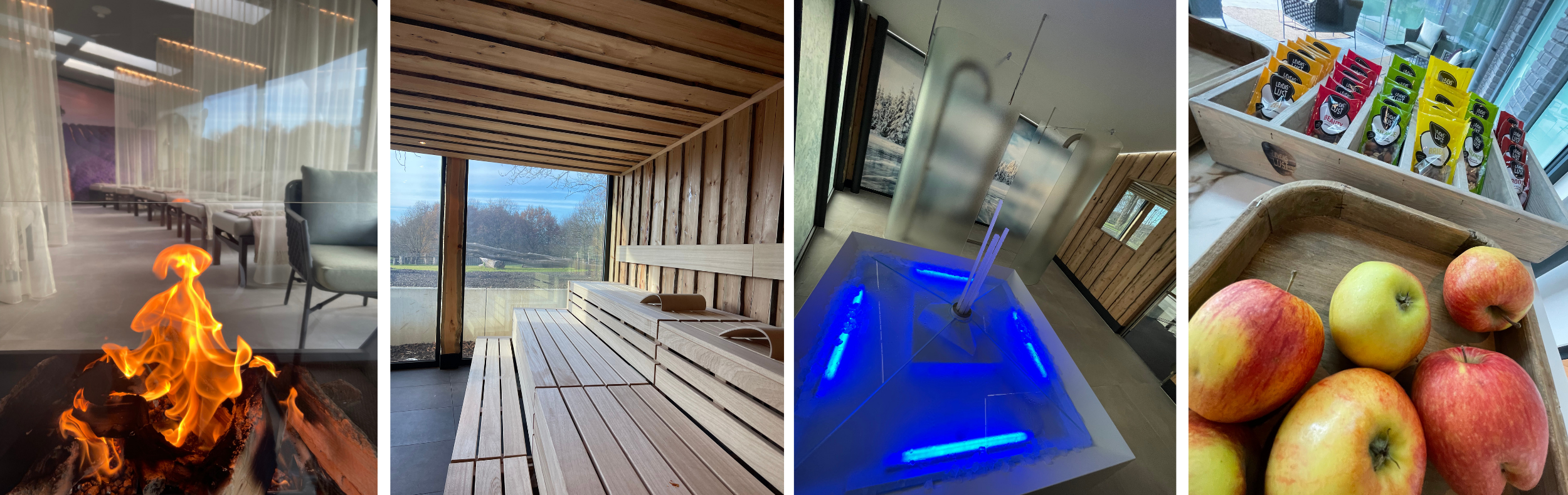 BADHUYS TERWORM WELLNESS