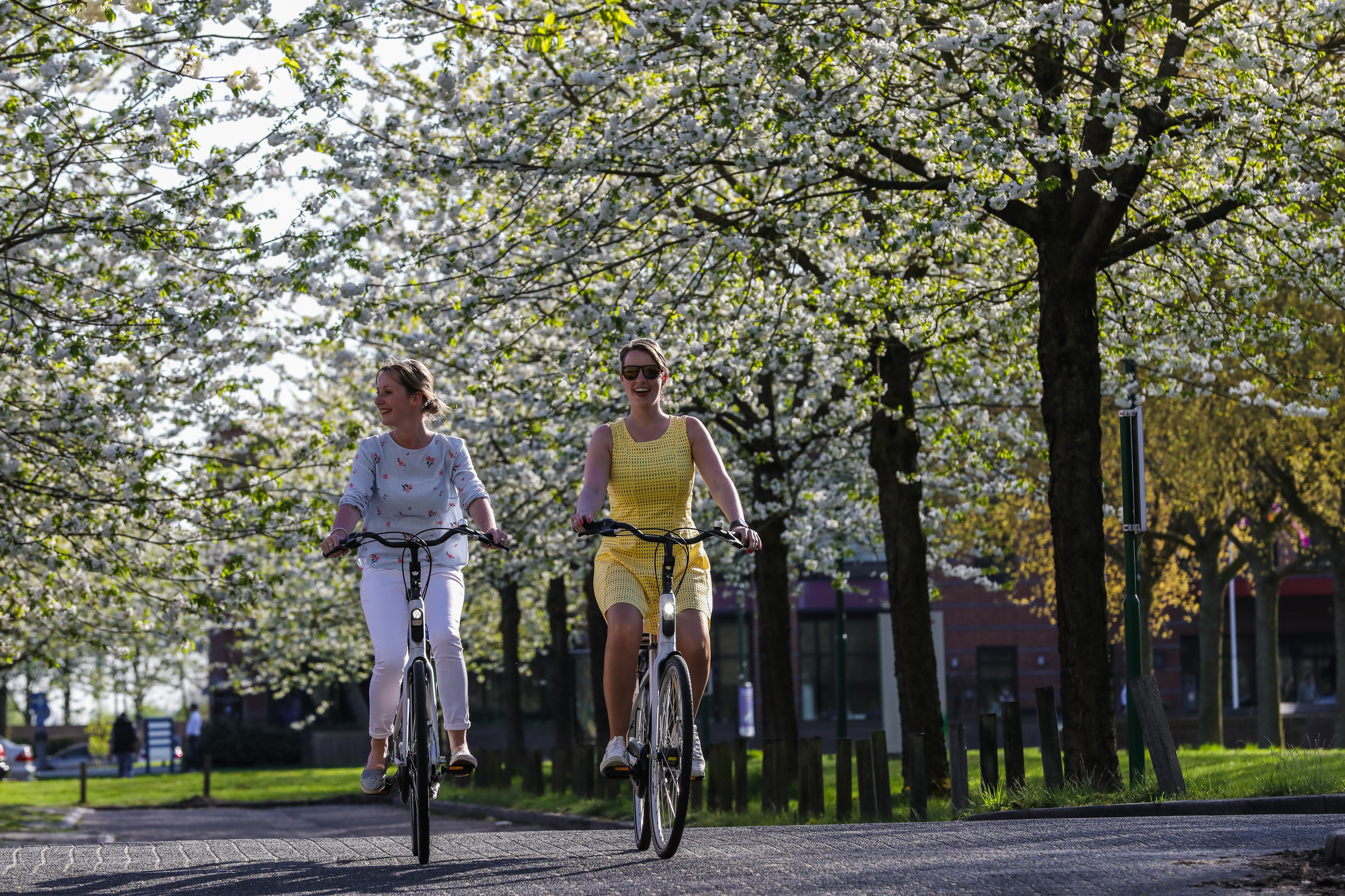 Hotel Vianen-Utrecht
