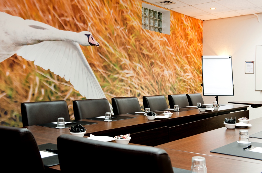 Meetings, congresses and trainings