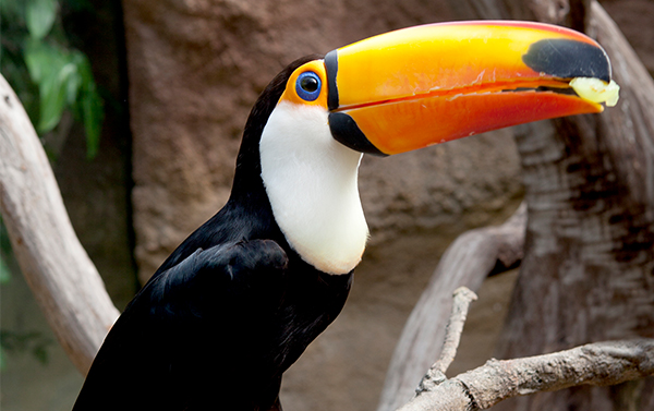 Korting in online stores & uitstapjes