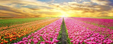 Hotel Akersloot - Wandel arrangement Hotel Akersloot - Wandel arrangement