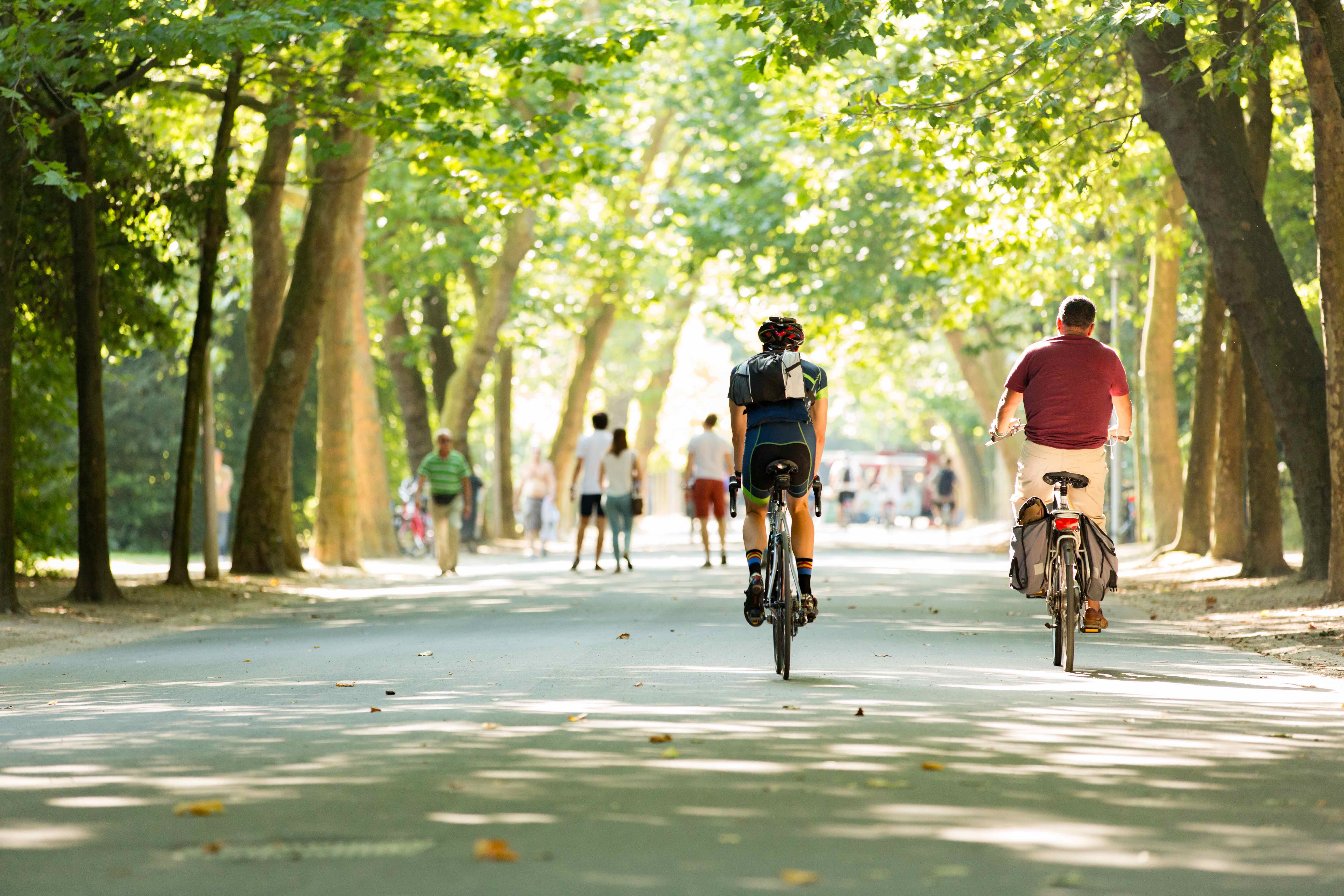 Discover Amsterdam as a local