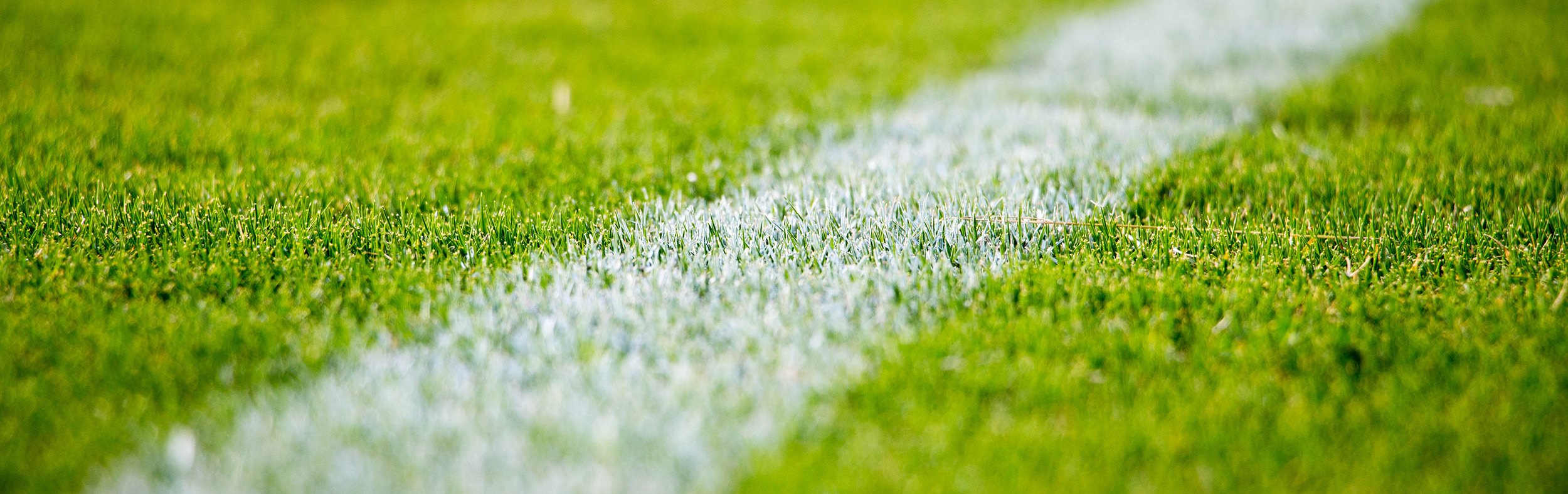 Uw team is bij ons in goede handen