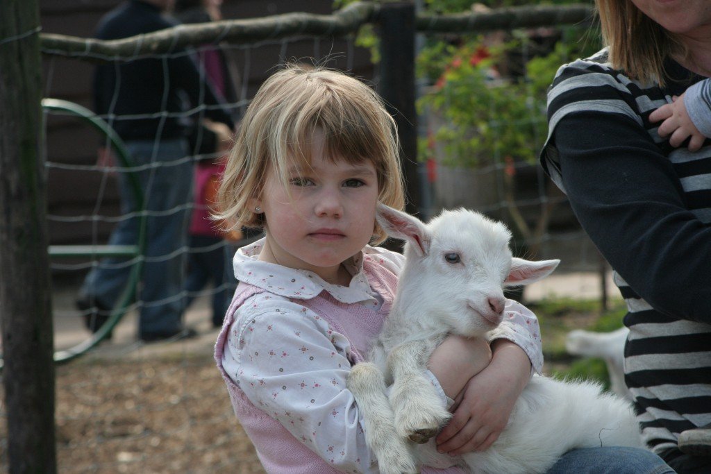 Farm't Geertje - Zoeterwoude (4,9 km)