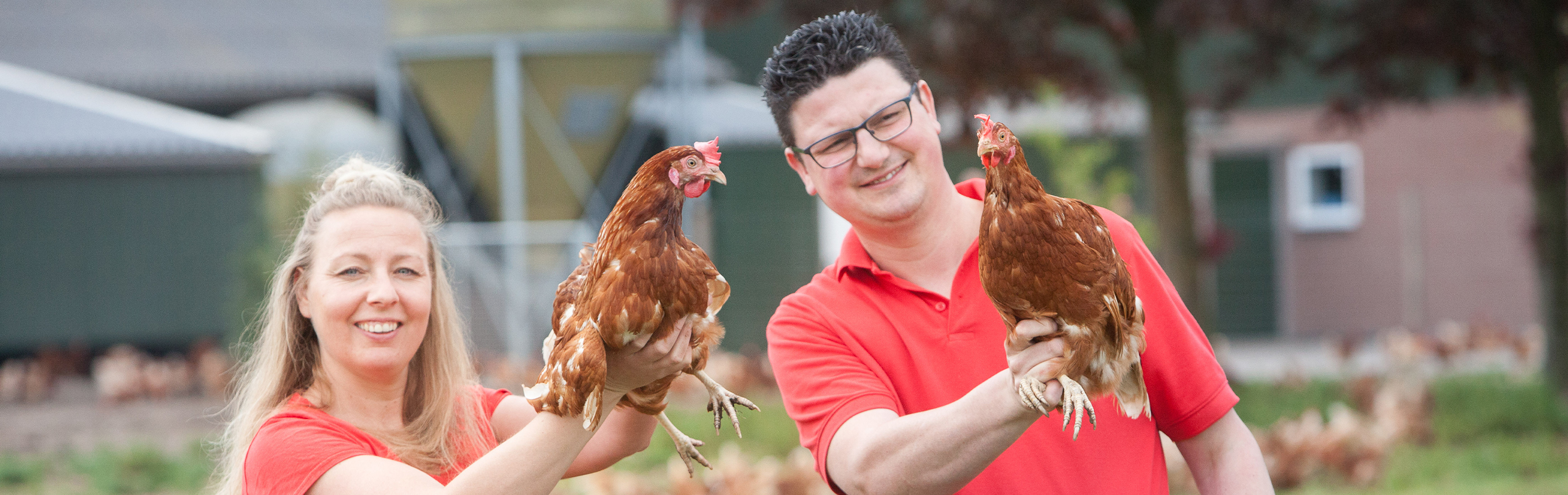 Vrije uitloop eieren