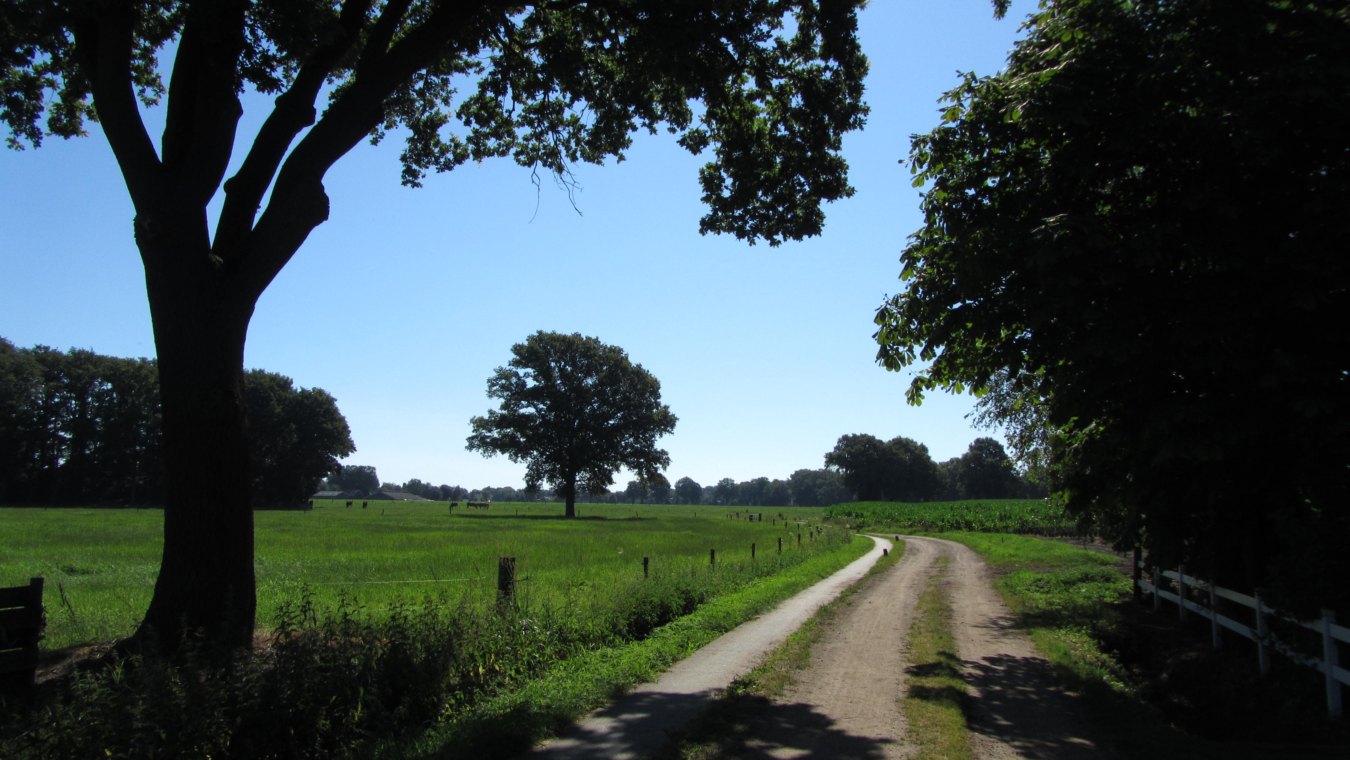 Wandelen