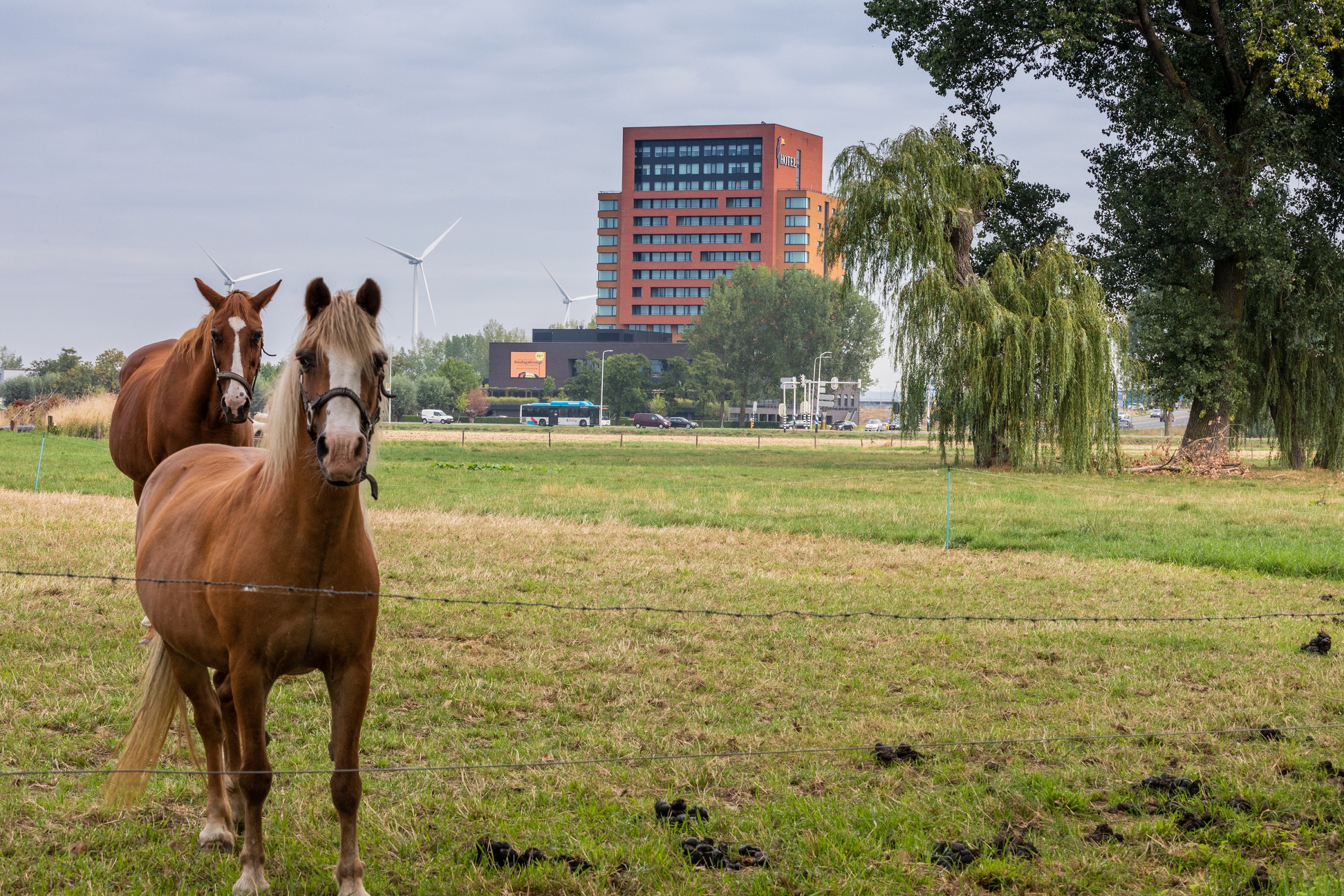Erop uit in onze regio!