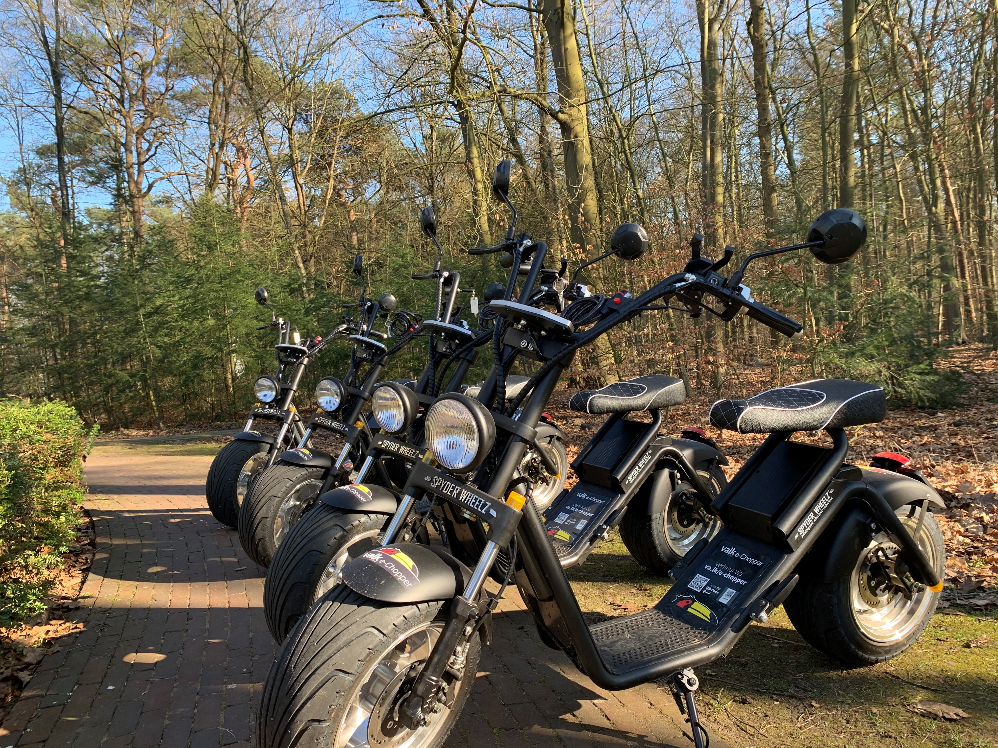 Silently exploring the Veluwe