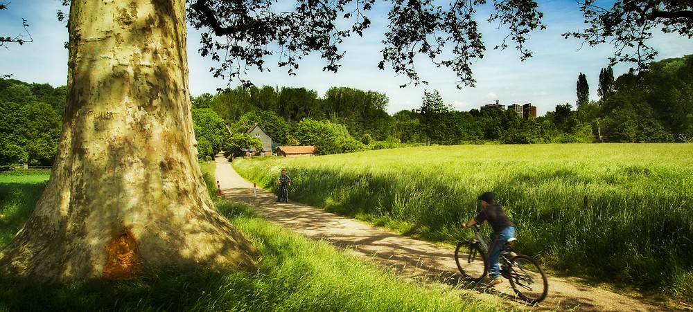 Cycling in a surprising environment