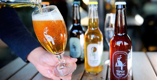 Hotel Den Haag - Nootdorp