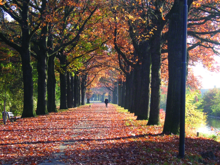 Nationaal park de Hoge Veluwe