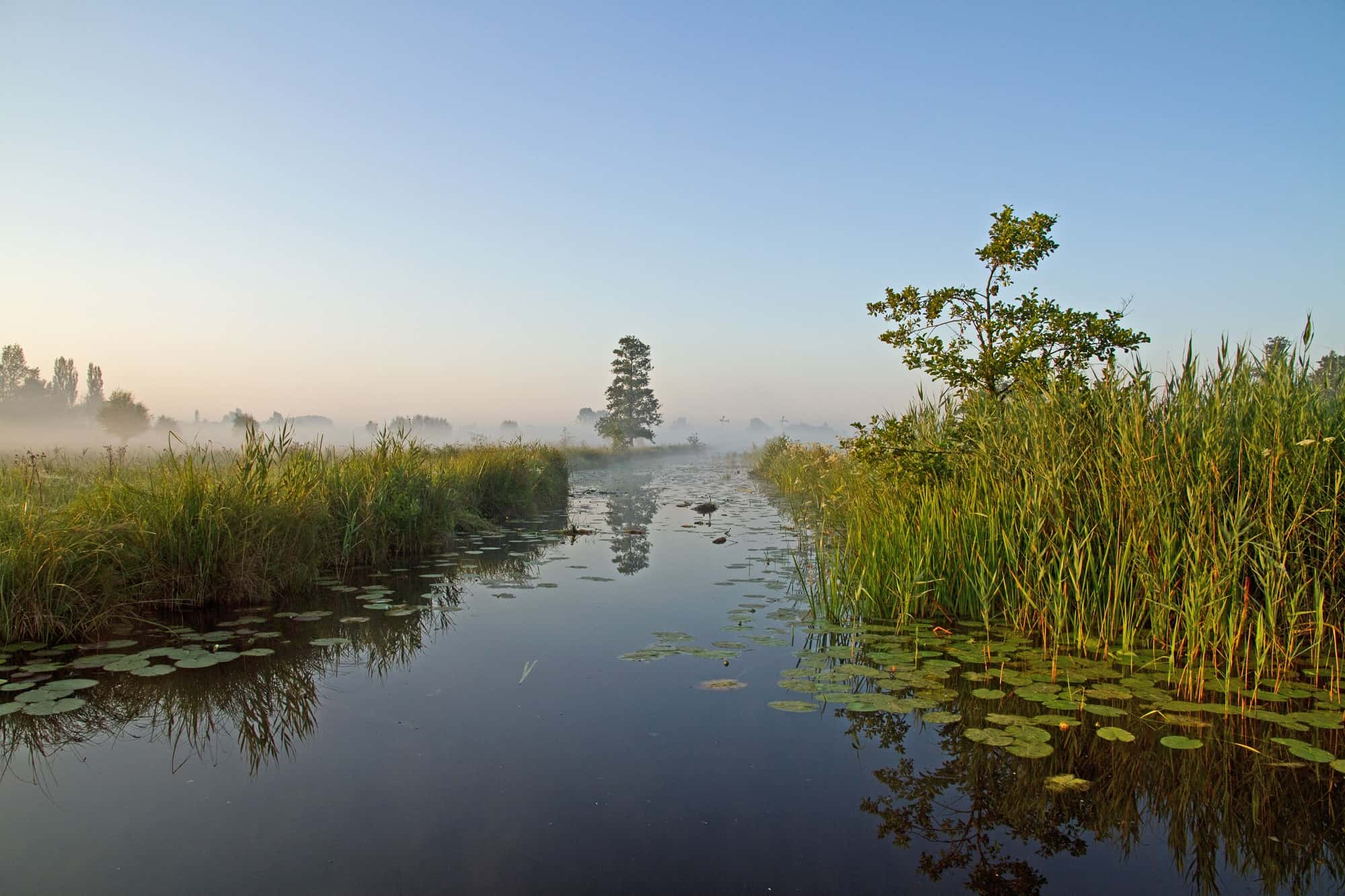 Experience the 'Weerribben'