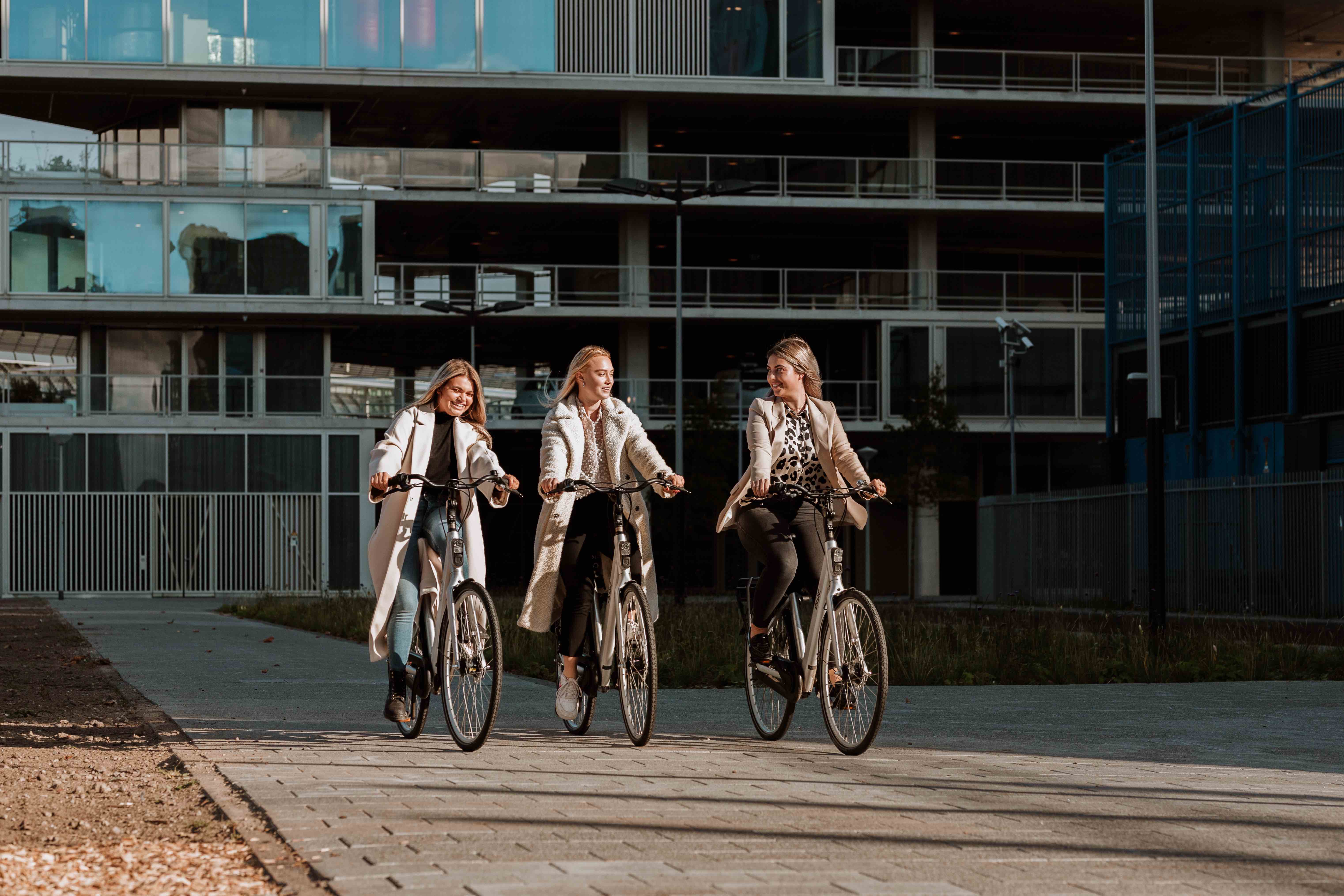 Bike rental