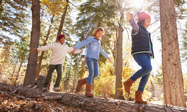 Familie arrangementen