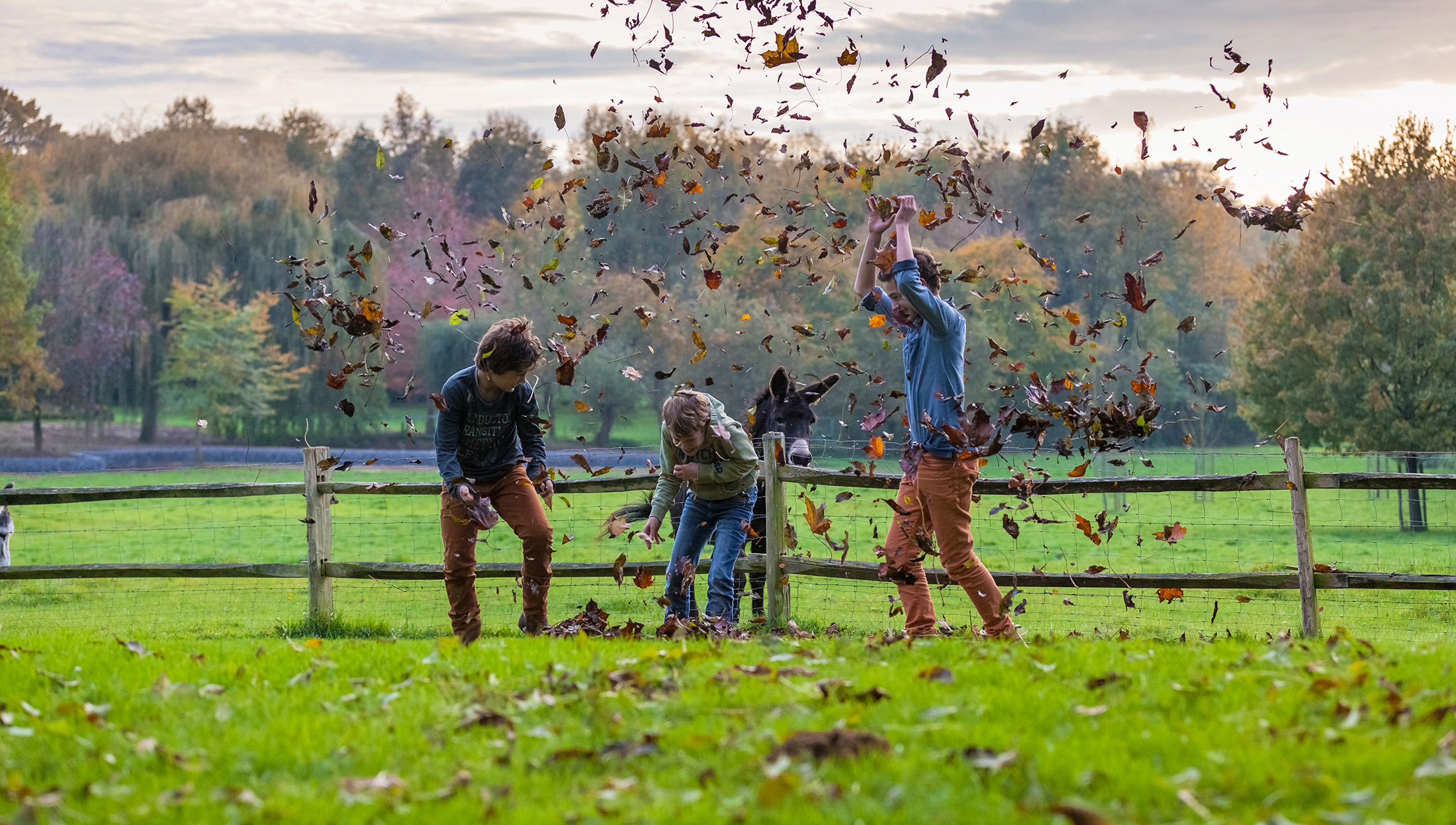 Seizoensdeals Herfst
