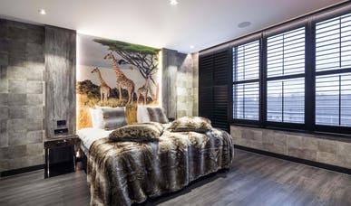 Safari Suite Safari Suite