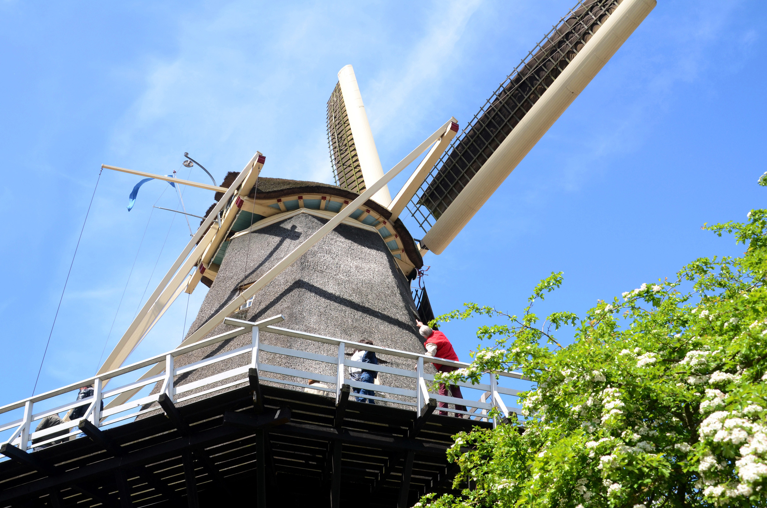 Molen de Hoop