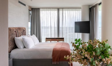 Pristine Suite Pristine Suite