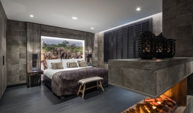 Safari Suite Safari Suite