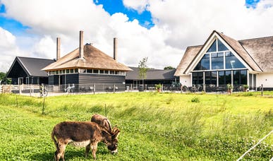 Hotel De Gouden Leeuw: Tante Tokkie Hotel De Gouden Leeuw: Tante Tokkie