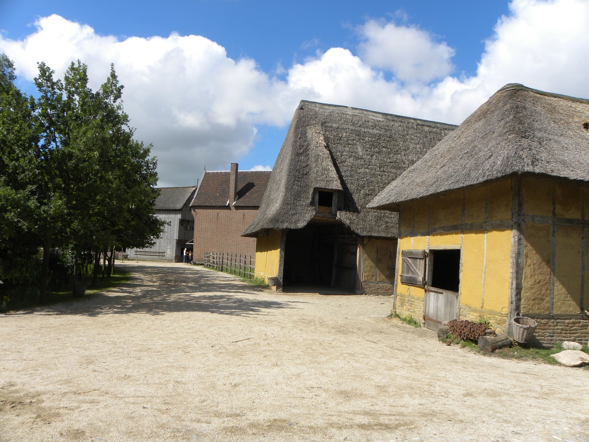 Archeon