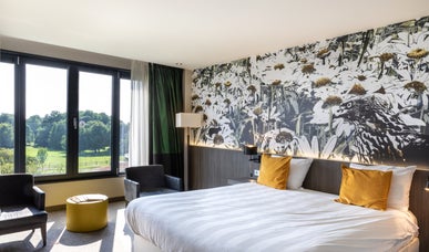 Comfort King | Gartenseite Comfort King | Gartenseite